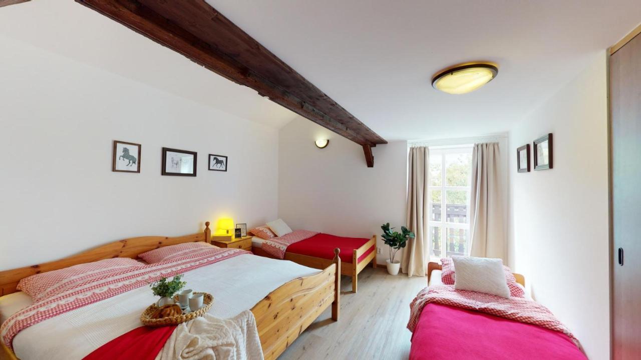 Pension U Sebastiana Hodousice Exterior foto